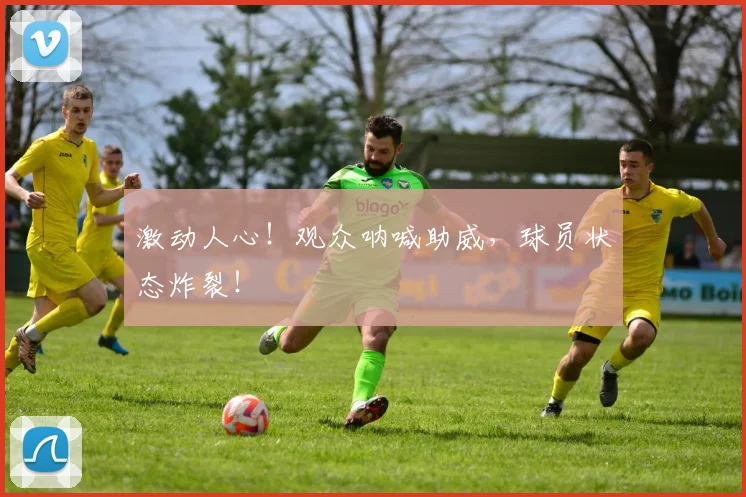 激动人心！观众呐喊助威，球员状态炸裂！