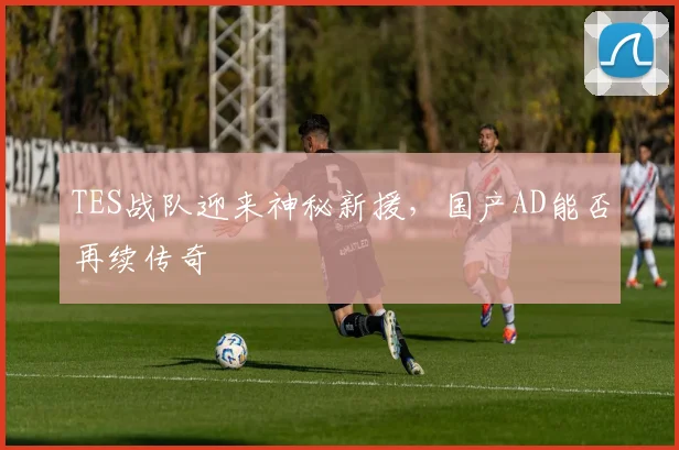 TES战队迎来神秘新援，国产AD能否再续传奇