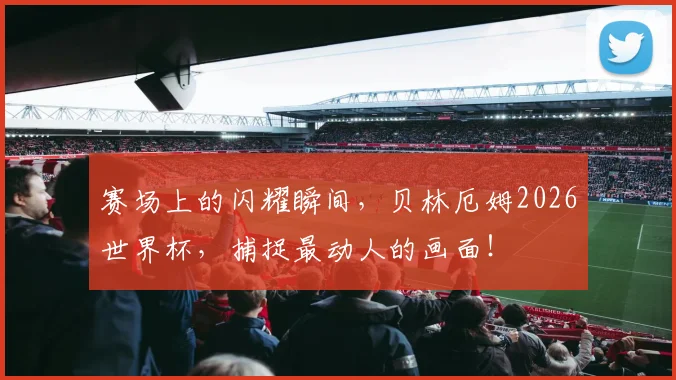 赛场上的闪耀瞬间，贝林厄姆2026世界杯，捕捉最动人的画面！